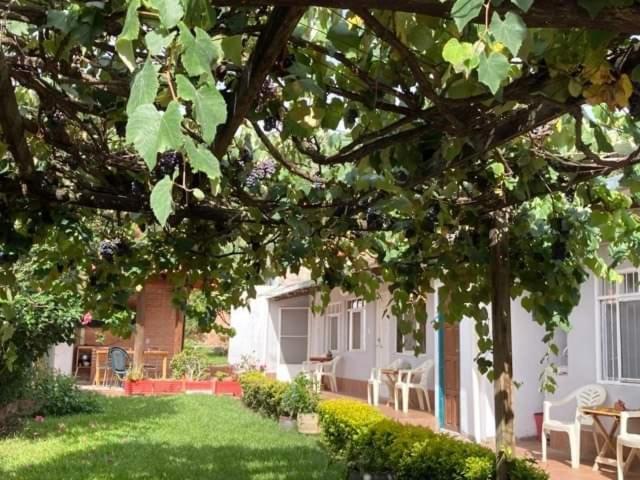 Samailandia Backpack Hotel Самайпата Екстериор снимка